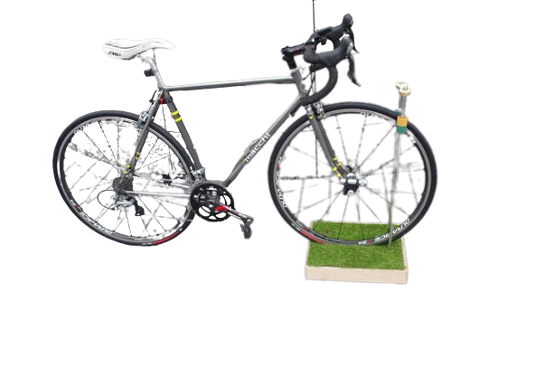 Grass Decorative Bike Rack